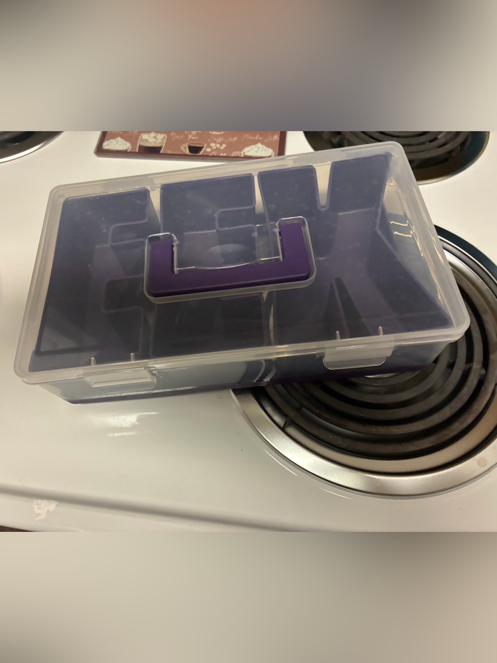 Halloween eek purple and clear on the go bento box